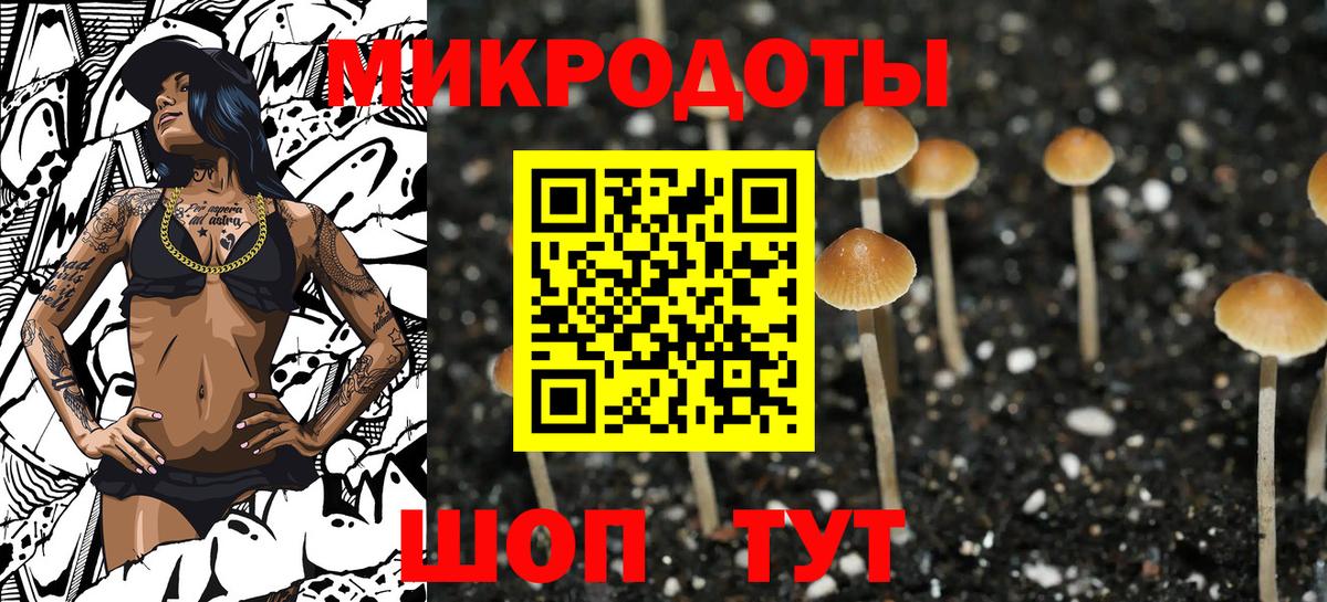 купить  цена  Галлюциногенные грибы Psilocybine cubensis  Вход с VPN  Дедовск 