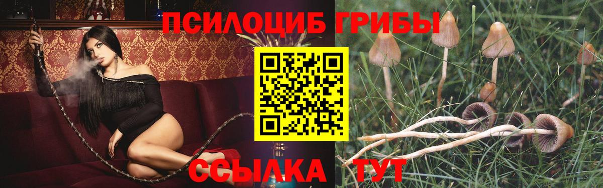  Кокаин Дедовск